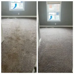 How Often to Clean Carpets in Lawrence KS