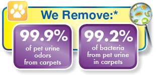 pet urine odor removal service