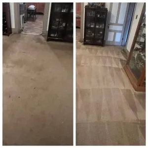 Before and After Carpet Cleaning