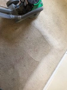 Deep Carpet Cleaning In Lawrence