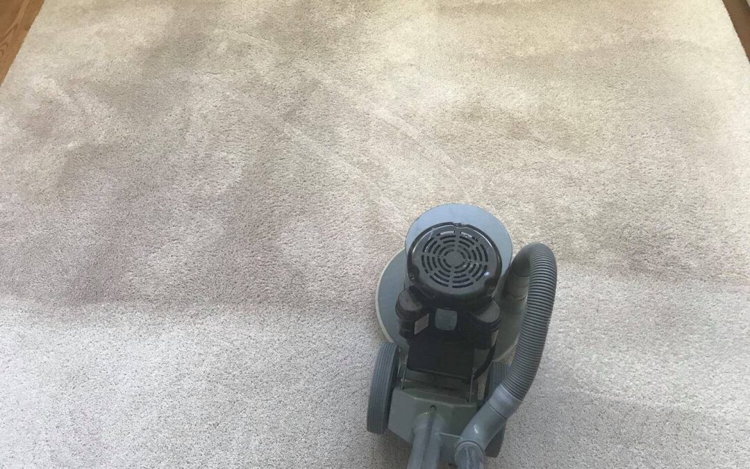 Benefits of Professional Carpet Cleaning in Lawrence KS