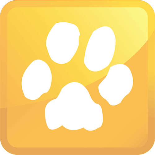 pet urine removal treatment icon