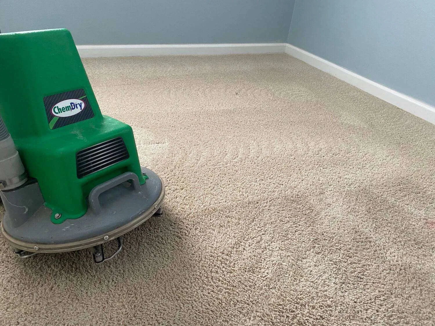 after carpet cleaning